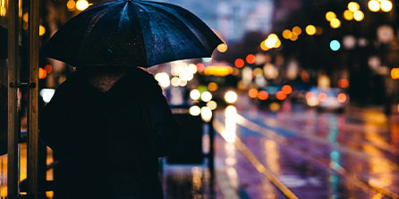 世界杯：各国女足纷纷在男足热度下蹭流量 安排友谊赛与公开训练