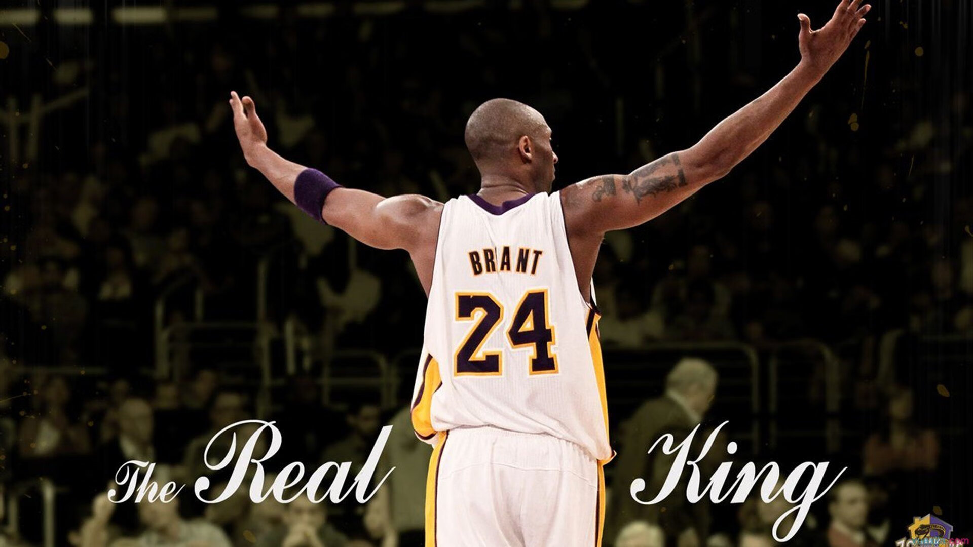 浓眉谈球员角色定位清晰提升配合效率,浓眉球队