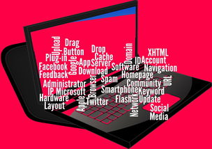 乐鱼体育APP官方下载-中国足球媒体对比赛的即时评价与舆论反馈机制，中国足球评论员